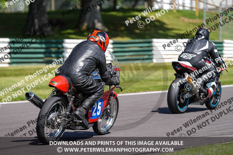 Vintage motorcycle club;eventdigitalimages;mallory park;mallory park trackday photographs;no limits trackdays;peter wileman photography;trackday digital images;trackday photos;vmcc festival 1000 bikes photographs